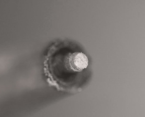 REM-Aufnahme_Nano-CT Sample for nano CT analysis.