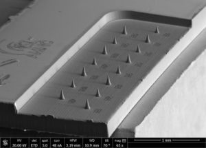 SEM image of processed Titanium Nitride on Silicon microtip arrays using the microPREP PRO FEMTO. Image courtesy of the University of Leoben.